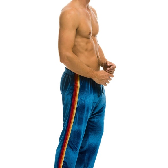 Aviator Nation Classic Velvet Sweatpants - Picture 2 of 3